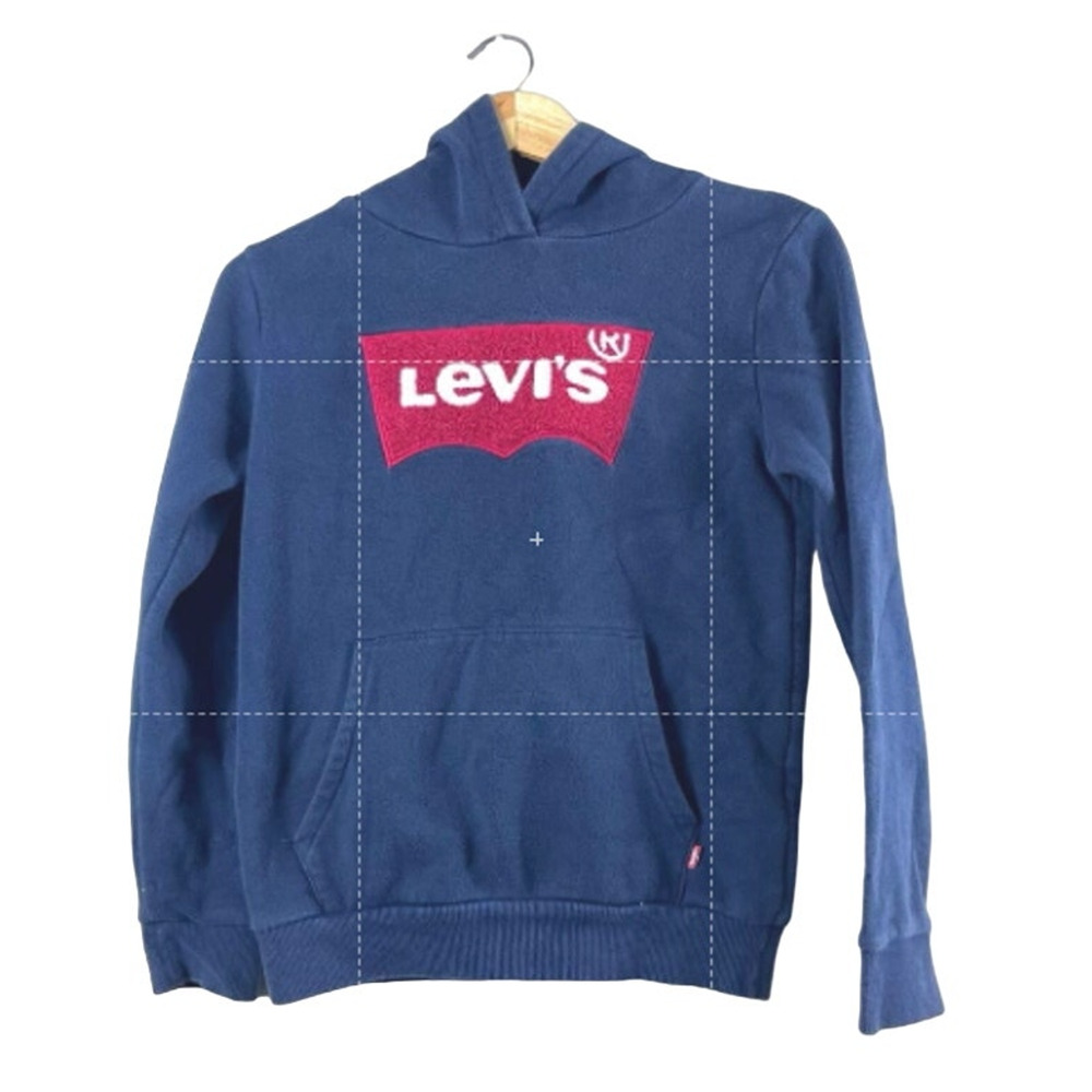Boy's Levis Hoodie Sweatshirt 10/12